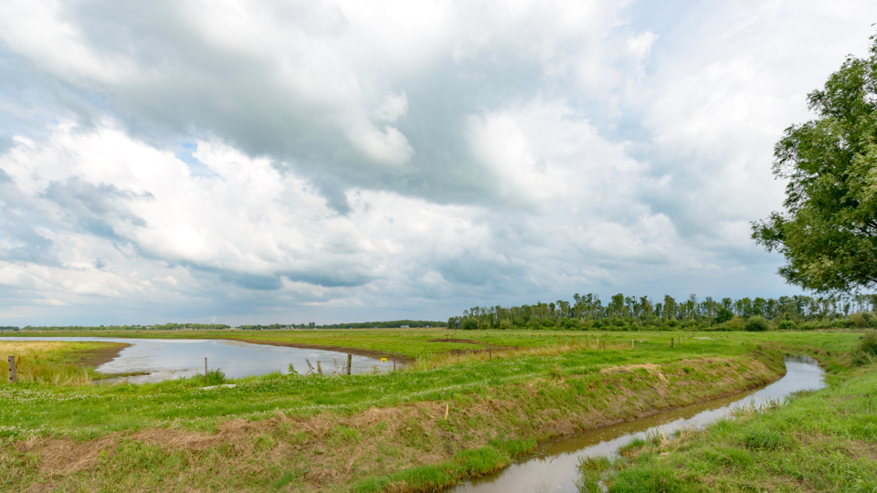 natuurgebied-de-marumerlage