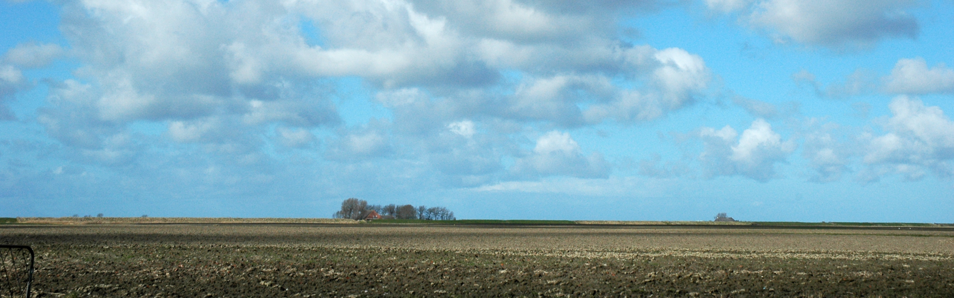 grootschalige-openheid-dijkenlandschappolder-usquert4677-4