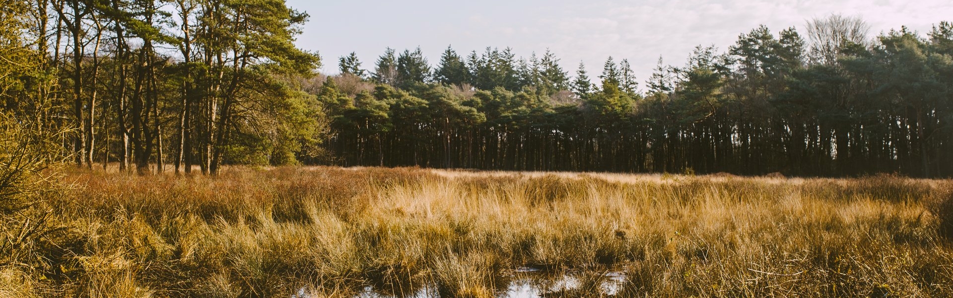 Appelbergen veld