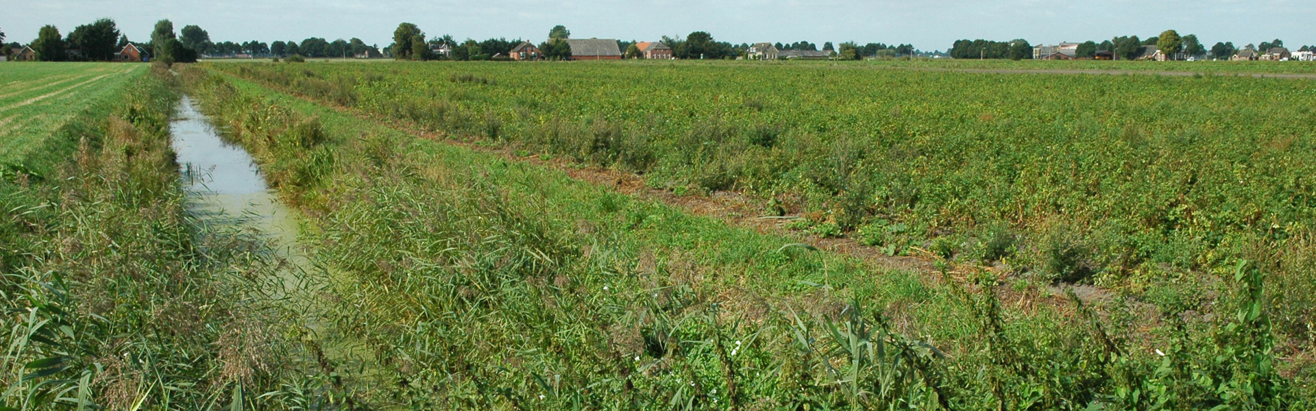 wijk-in-veenkoloniaallandschapkielwindeweer