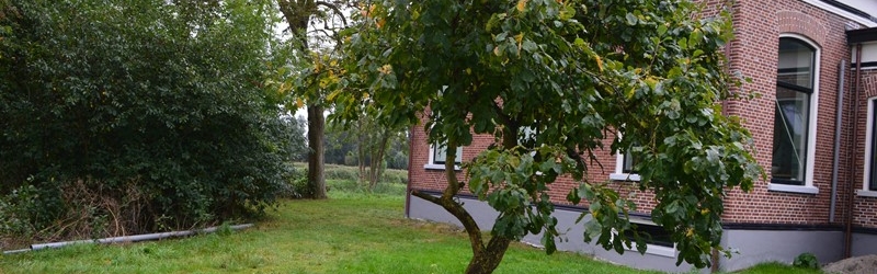 3. erfbeplanting ZO Groningen
