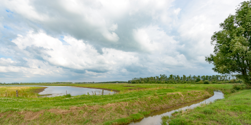 natuurgebied-de-marumerlage