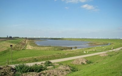 DSC05544-GB-Breebaart-DijkRondom-Zuid-400x300