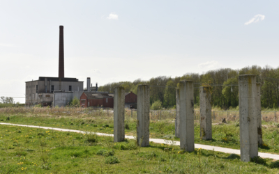 terrein-de-eendracht-appingedam-d-24-04