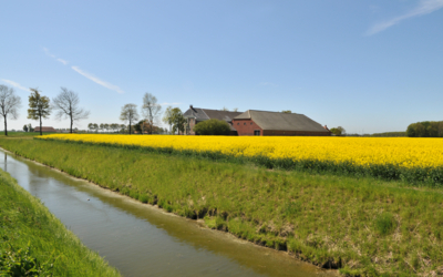 oldambtkoolzaadboerderij2zomer2010