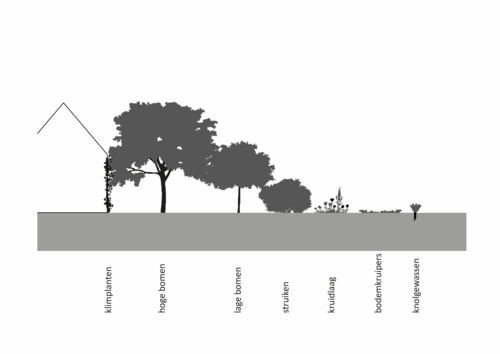 schema-koppelkanspagina2