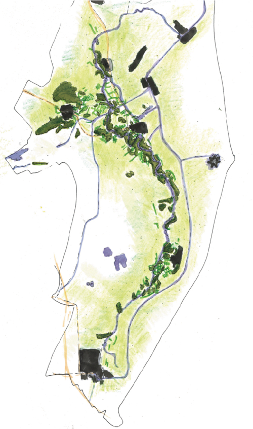 Westerwolde - houtwallen en essen-01