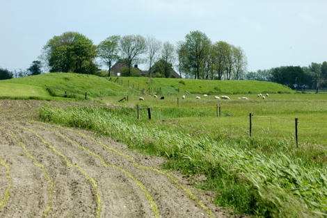 reitdiepdijk-saaksum