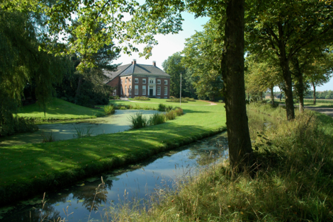 159-goldhoorn-2