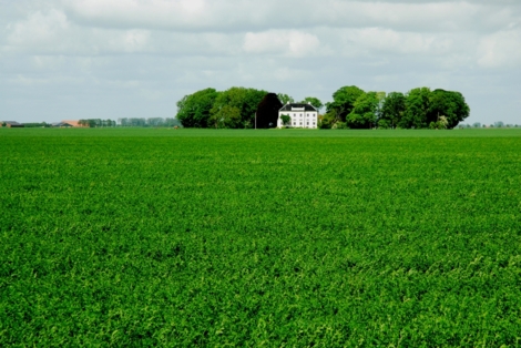 boerderij-drieborg-dollardpolders